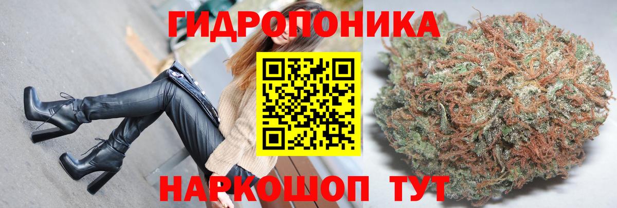 Марихуана гибрид Гусь-Хрустальный